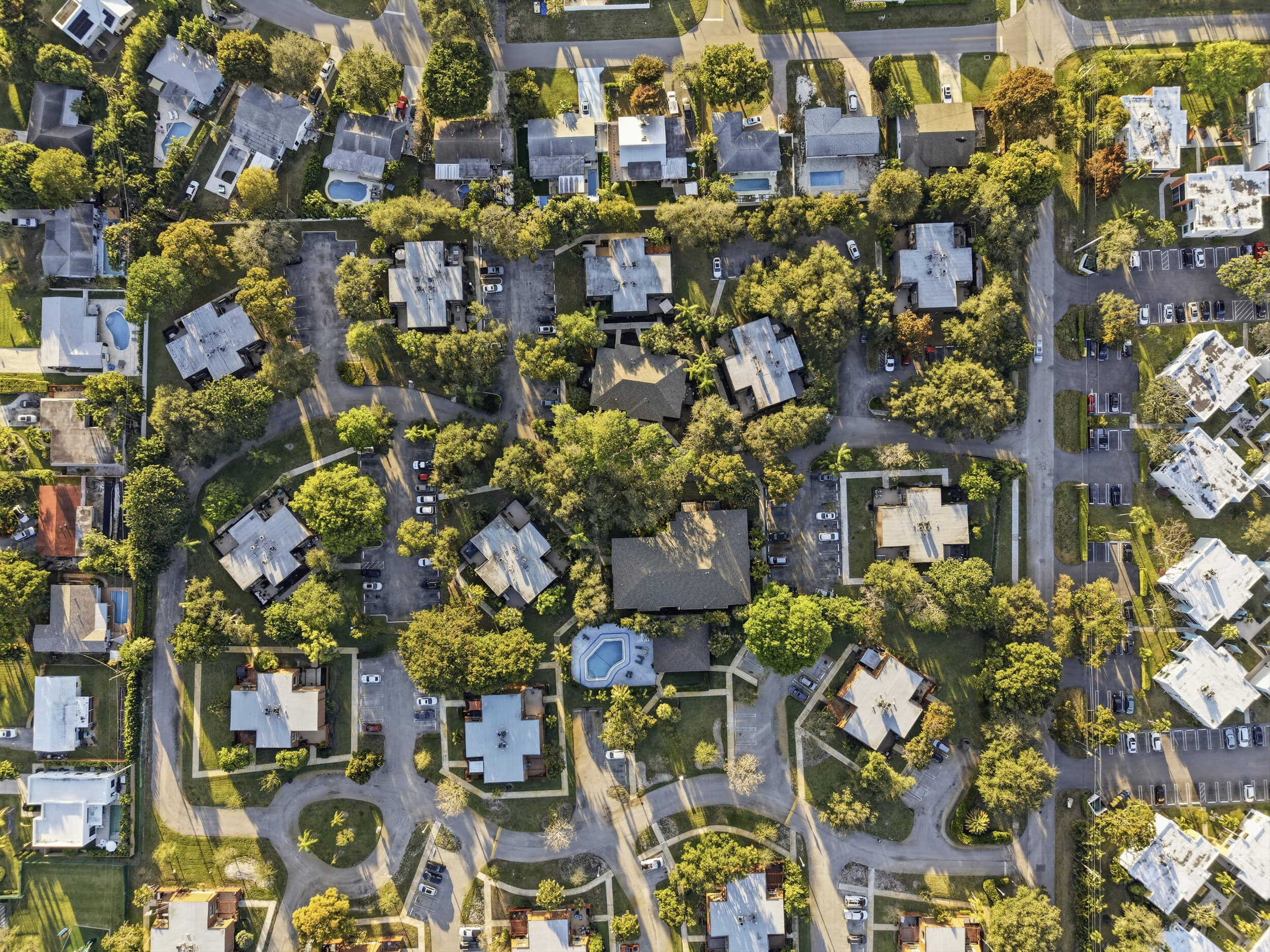 dji_20260211062608_0181_d