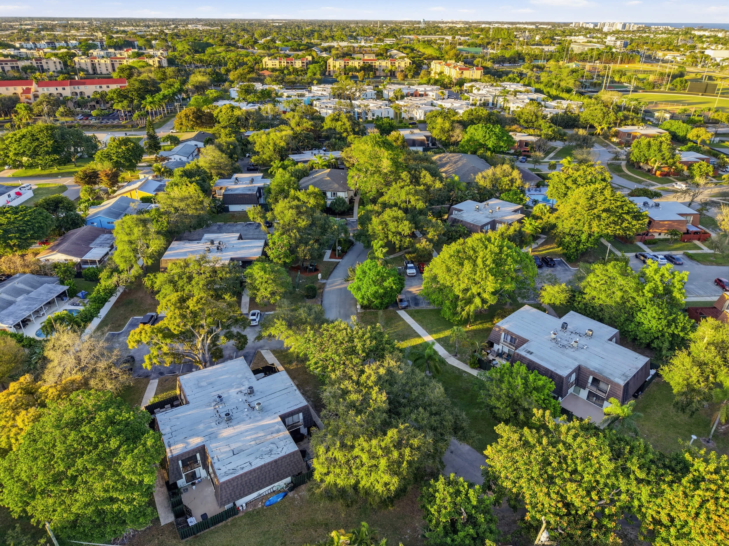 dji_20260211063732_0204_d